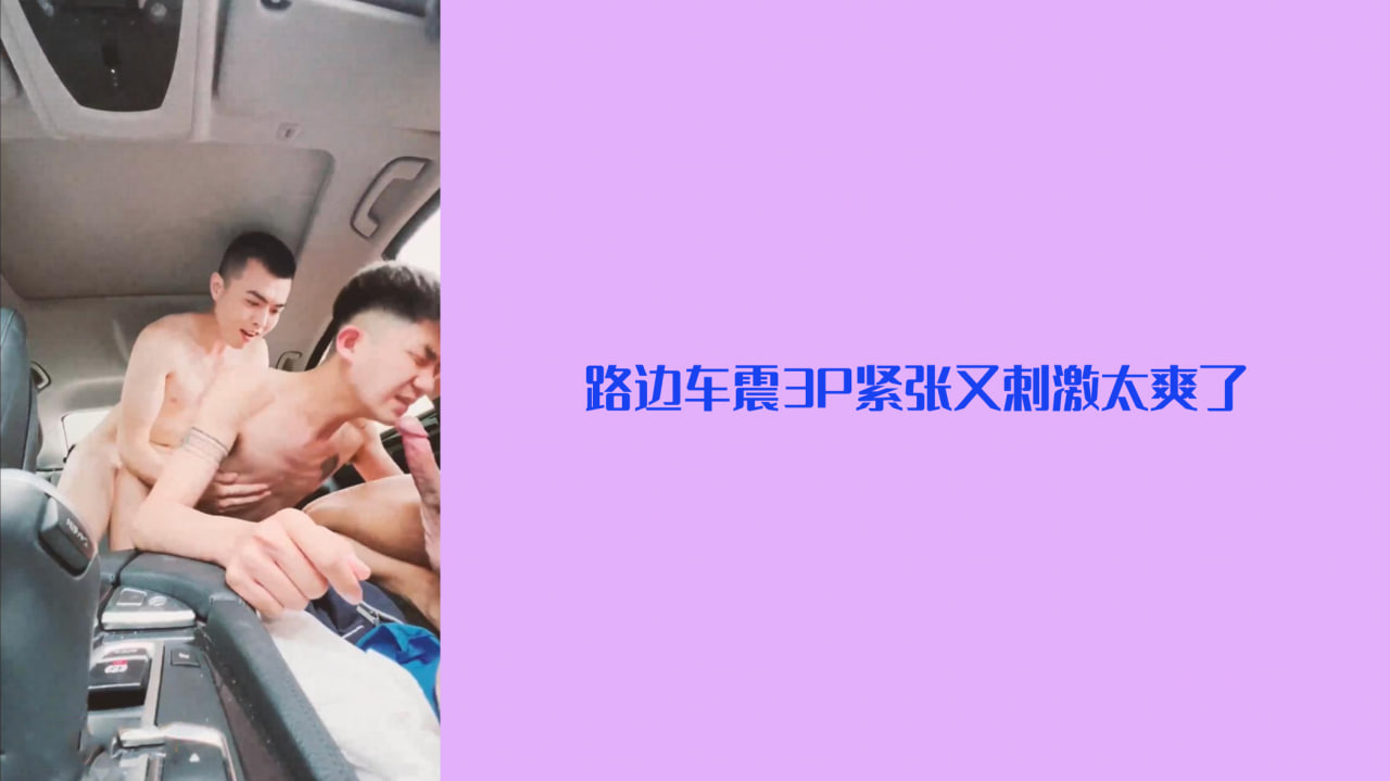 【精品推荐】路边车震3P  紧张又刺激太爽了
